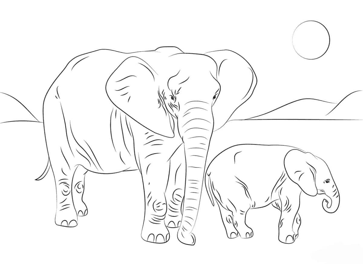 Raskrasil.com-Coloring-Pages-Elephant-59