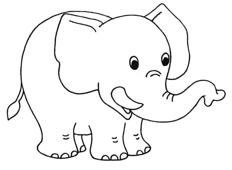 Desenhos de Elefantes para Colorir