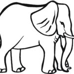 Raskrasil.com-Coloring-Pages-Elephant-60