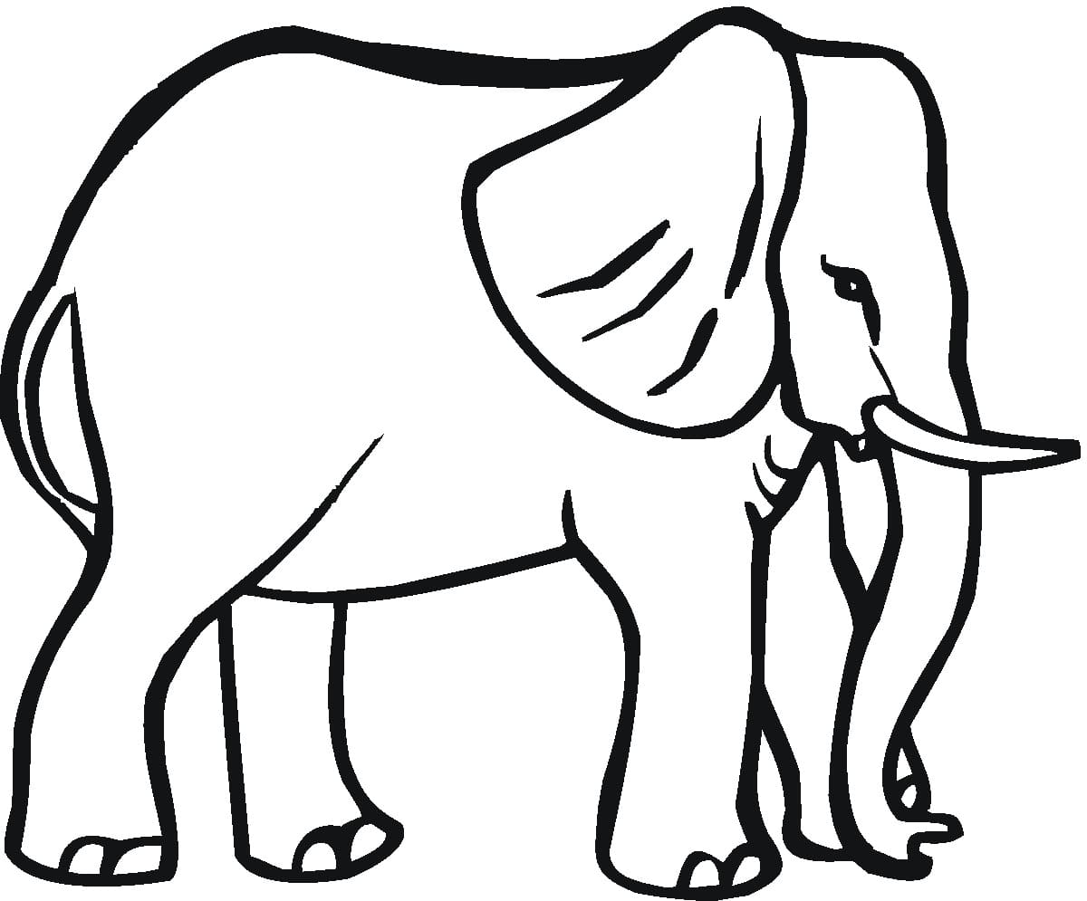 Raskrasil.com-Coloring-Pages-Elephant-60