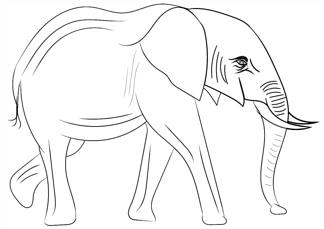 Raskrasil.com-Coloring-Pages-Elephant-75