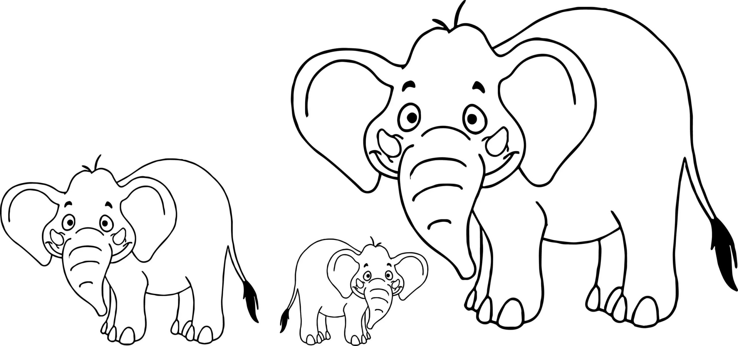 Raskrasil.com-Coloring-Pages-Elephant-77