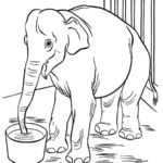 Raskrasil.com-Coloring-Pages-Elephant-81