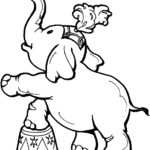Raskrasil.com-Coloring-Pages-Elephant-82