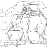 Raskrasil.com-Coloring-Pages-Elephant-84