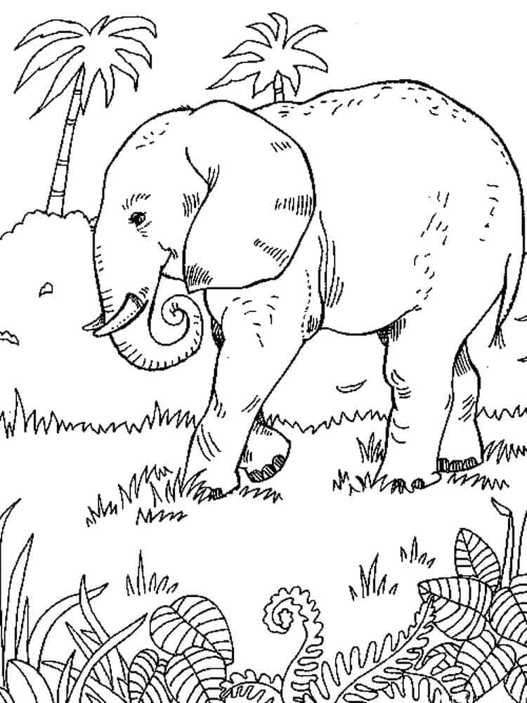 Raskrasil.com-Coloring-Pages-Elephant-90