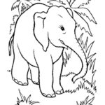 Raskrasil.com-Coloring-Pages-Elephant-95