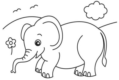 Elephant Coloring Pages