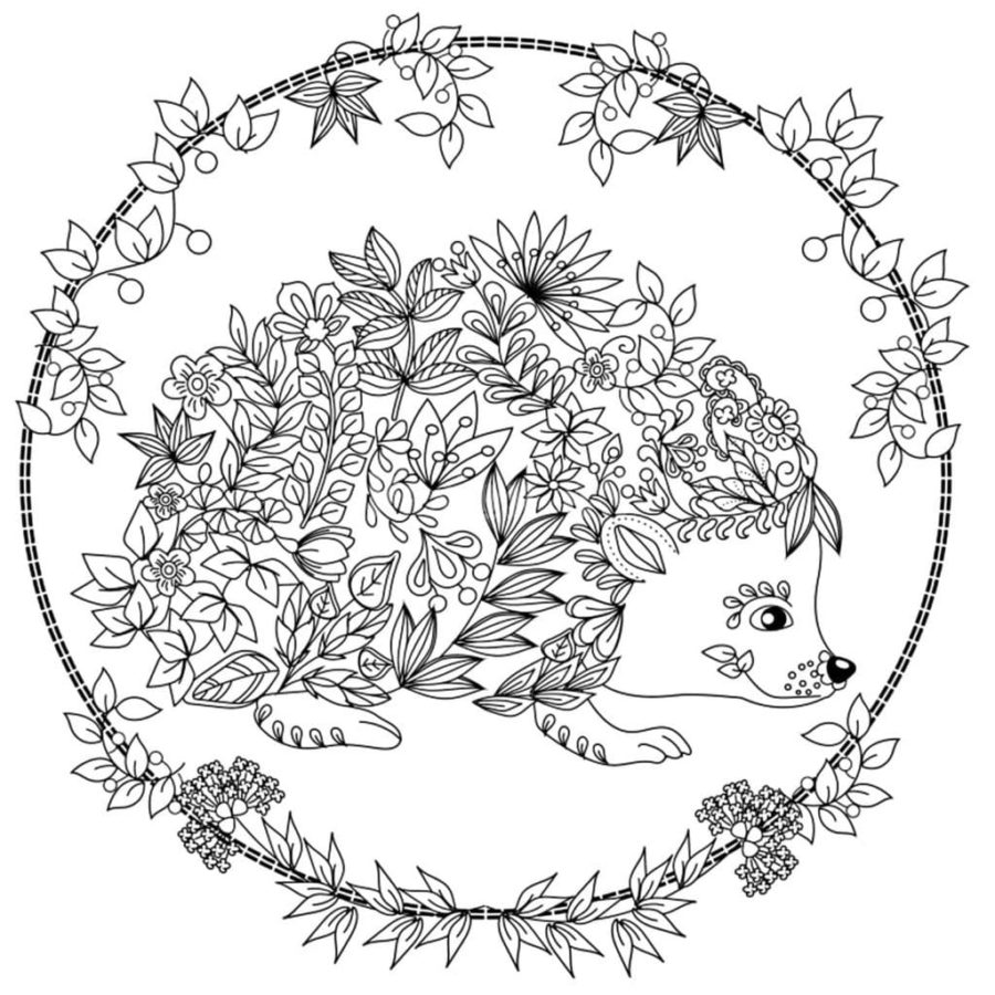 Fall Coloring Pages for Adults | 100 Pictures Free Printable