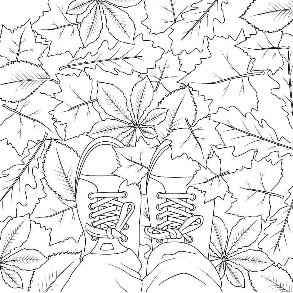 Desenhos de Outono para colorir para Adultos - 100 imagens para imprimir