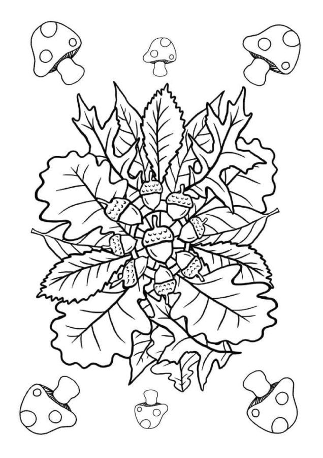 Fall Coloring Pages for Adults | 100 Pictures Free Printable