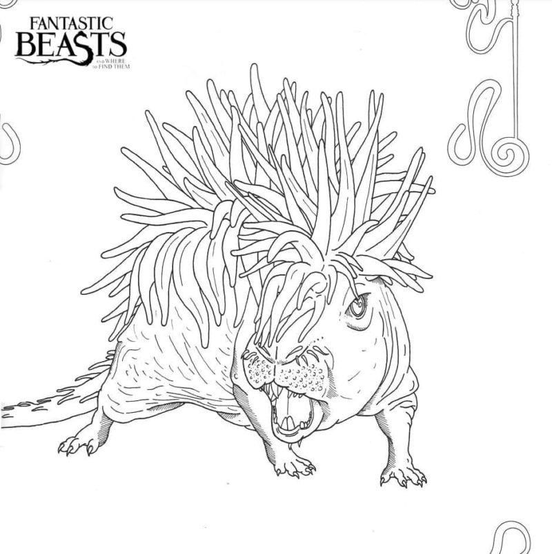 Disegni di Animali Fantastici e dove trovarli da colorare