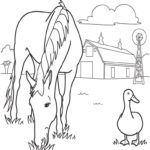 Raskrasil.com-Coloring-Pages-Farm-102
