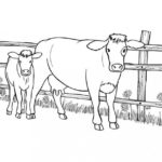 Raskrasil.com-Coloring-Pages-Farm-5