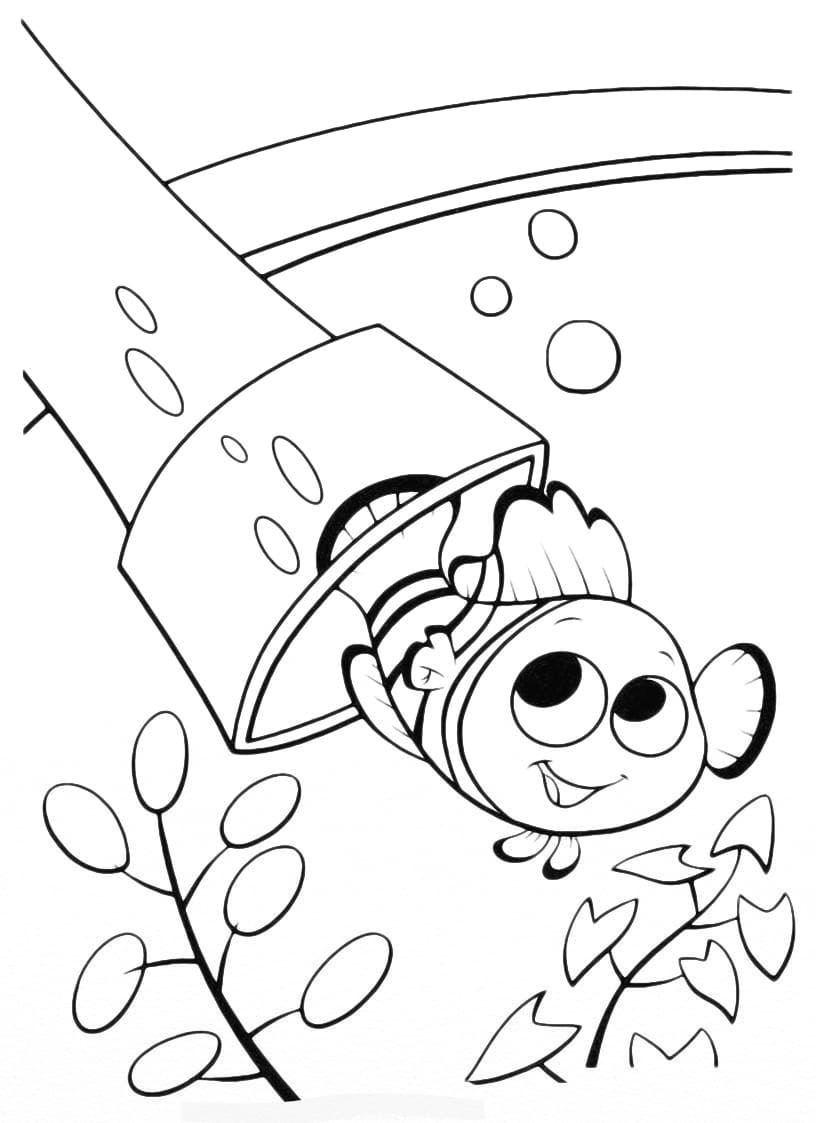 Raskrasil.com-Coloring-Pages-Finding-Nemo-147