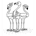 Raskrasil.com-Coloring-Pages-Flamingo-10