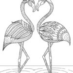 Raskrasil.com-Coloring-Pages-Flamingo-11