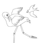 Raskrasil.com-Coloring-Pages-Flamingo-117