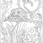 Raskrasil.com-Coloring-Pages-Flamingo-119