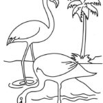 Raskrasil.com-Coloring-Pages-Flamingo-16