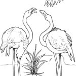 Raskrasil.com-Coloring-Pages-Flamingo-17