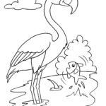 Raskrasil.com-Coloring-Pages-Flamingo-23