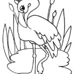 Raskrasil.com-Coloring-Pages-Flamingo-25