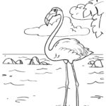 Raskrasil.com-Coloring-Pages-Flamingo-32