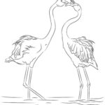 Raskrasil.com-Coloring-Pages-Flamingo-35