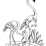 Raskrasil.com-Coloring-Pages-Flamingo-37