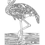Raskrasil.com-Coloring-Pages-Flamingo-39