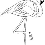 Raskrasil.com-Coloring-Pages-Flamingo-44