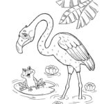 Raskrasil.com-Coloring-Pages-Flamingo-48