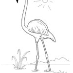Raskrasil.com-Coloring-Pages-Flamingo-49