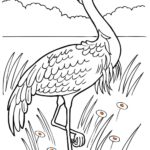 Raskrasil.com-Coloring-Pages-Flamingo-5