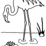 Raskrasil.com-Coloring-Pages-Flamingo-52