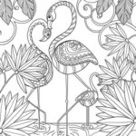 Raskrasil.com-Coloring-Pages-Flamingo-54