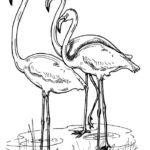 Raskrasil.com-Coloring-Pages-Flamingo-55