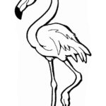 Raskrasil.com-Coloring-Pages-Flamingo-56
