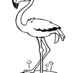 Raskrasil.com-Coloring-Pages-Flamingo-57
