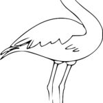 Raskrasil.com-Coloring-Pages-Flamingo-60