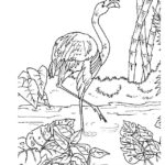 Raskrasil.com-Coloring-Pages-Flamingo-63