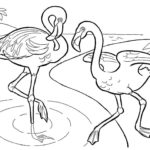 Raskrasil.com-Coloring-Pages-Flamingo-88