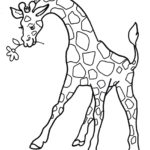 Raskrasil.com-Coloring-Pages-Giraffe-14