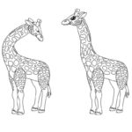 Raskrasil.com-Coloring-Pages-Giraffe-28