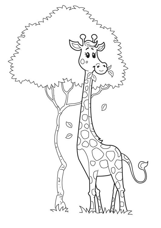 Ausmalbilder Giraffe | 100 Malvorlagen Kostenlos zum Ausdrucken