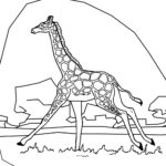 Raskrasil.com-Coloring-Pages-Giraffe-33