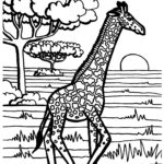 Previous Attachment