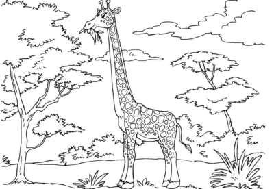 Розмальовки жирафів – 100 розмальовок для друку