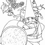 Raskrasil.com-Coloring-Pages-Gnome-28